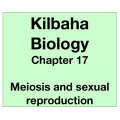 Biology Chapter 17 - Meiosis and Sexual Reproduction